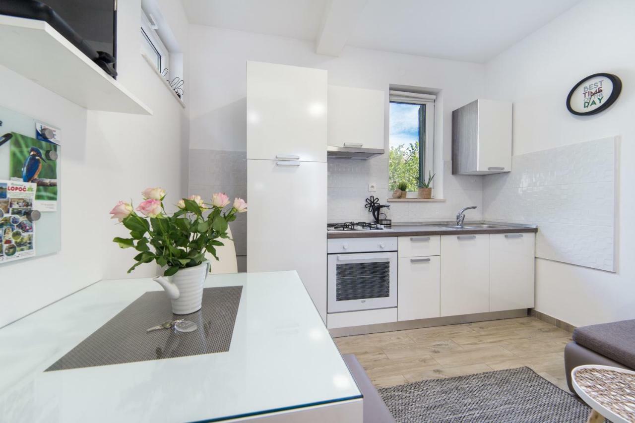 Studio Apartment Finta Rogotin エクステリア 写真